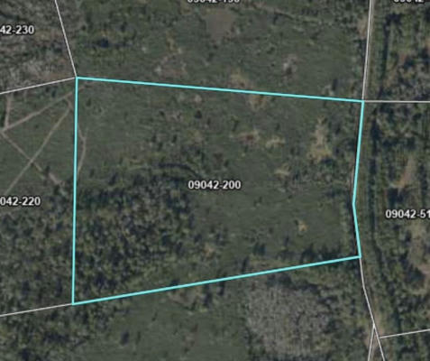 TRACT 20 MAX ROAD, PERRY, FL 32347, photo 3 of 3