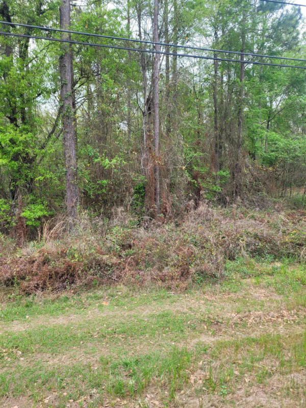 LOT 1 FACEVILLE HIGHWAY, OTHER GEORGIA, GA 39819, photo 1 of 2