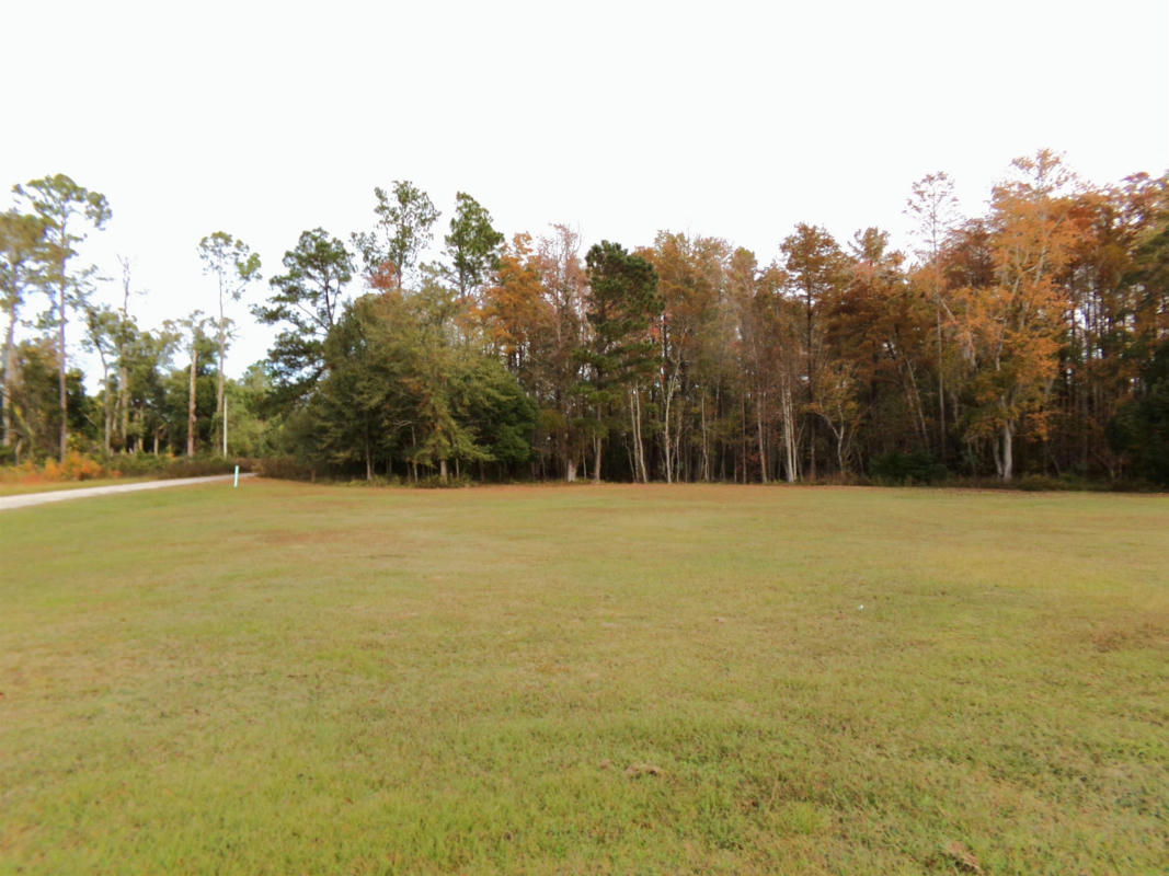 11500 NW STATE ROAD 20, BRISTOL, FL 32321, photo 1 of 6