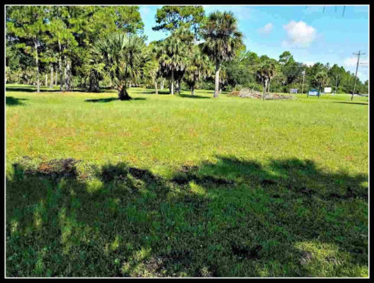 1128 SHELL POINT RD, CRAWFORDVILLE, FL 32327, photo 3 of 4