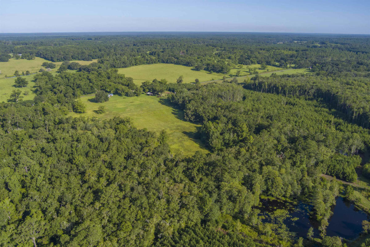 000 CLARK ROAD, MONTICELLO, FL 32344, photo 1 of 17