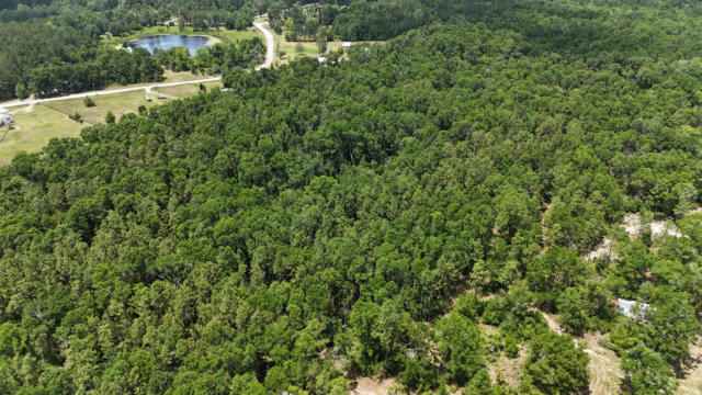 VACANT NW SAPPHIRE TRAIL, JENNINGS, FL 32053, photo 2 of 42