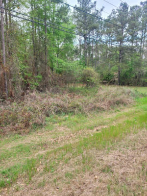 LOT 1 FACEVILLE HIGHWAY, OTHER GEORGIA, GA 39819, photo 2 of 2