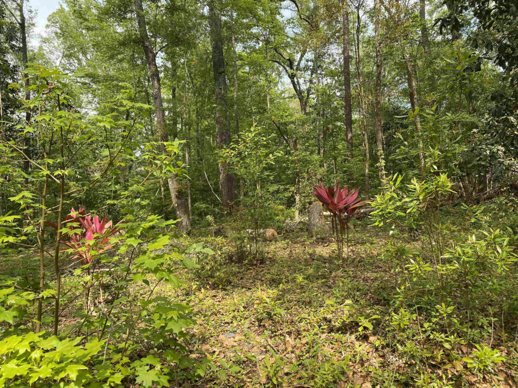 LOT 14 CRESTWOOD DRIVE, TALLAHASSEE, FL 32311, photo 1 of 6