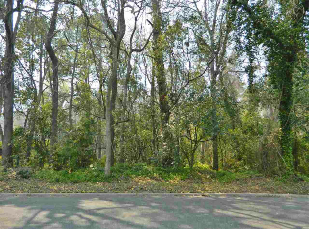 LOT 10D JACKSON STREET, QUINCY, FL 32351, photo 1 of 25