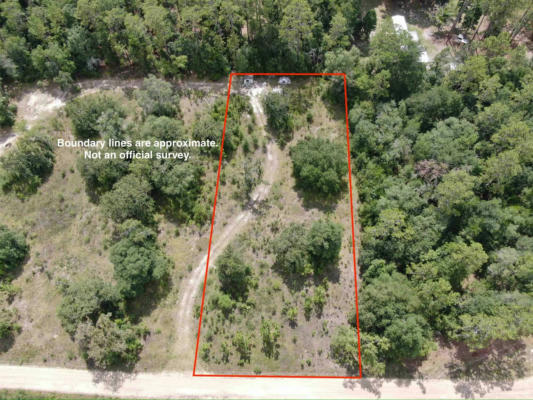 VACANT *LOT 58* NE BLACKJACK LOOP # 1, LEE, FL 32059 - Image 1