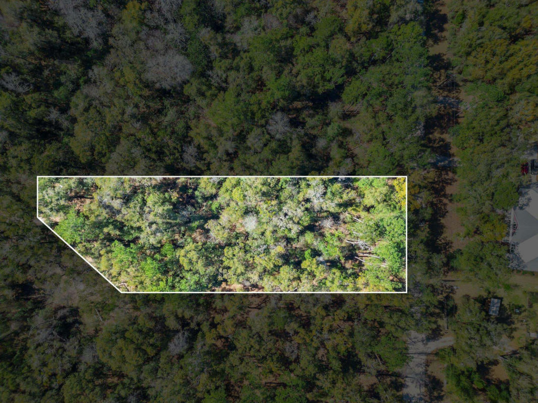 PARRAMORE SHORES LOT 6, TALLAHASSEE, FL 32310, photo 1 of 13